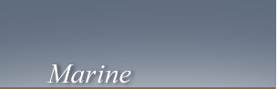 Marine